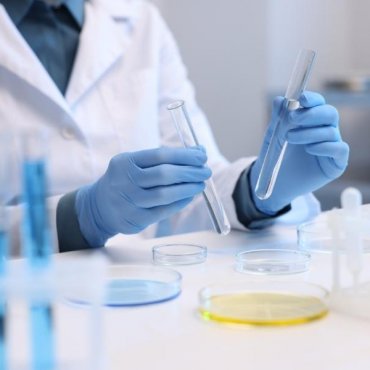Teste de Eficácia de Conservantes (Challenge Test) para Cosméticos em Brazabrantes